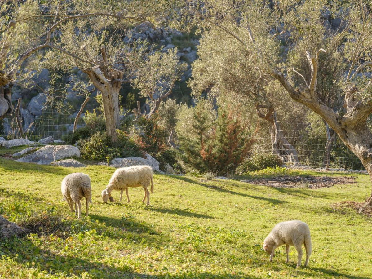 Bauernhof Muleta De Ca S'hereu Puerto de Sóller