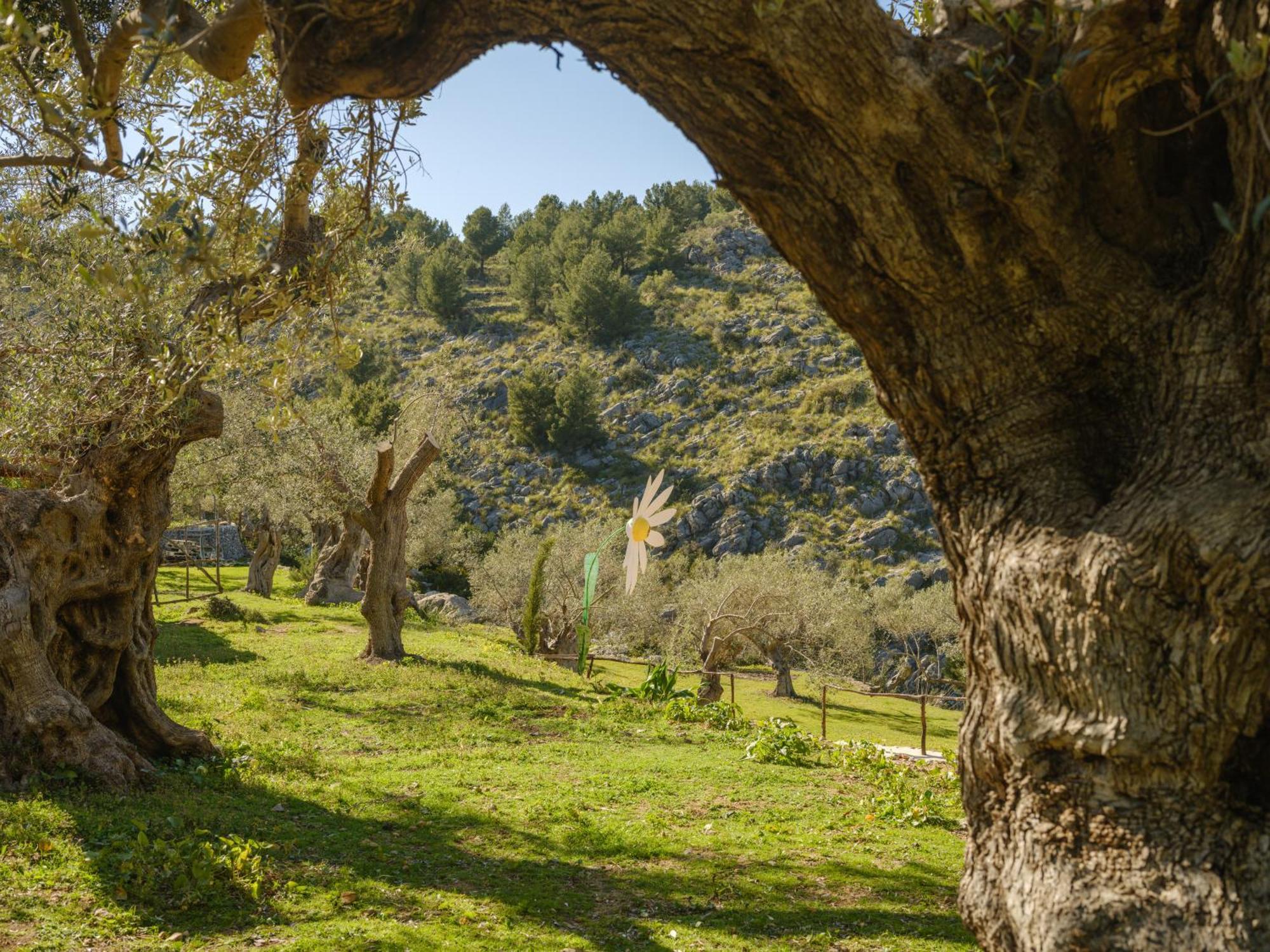 Landhaus Muleta De Ca S'hereu Puerto de Sóller